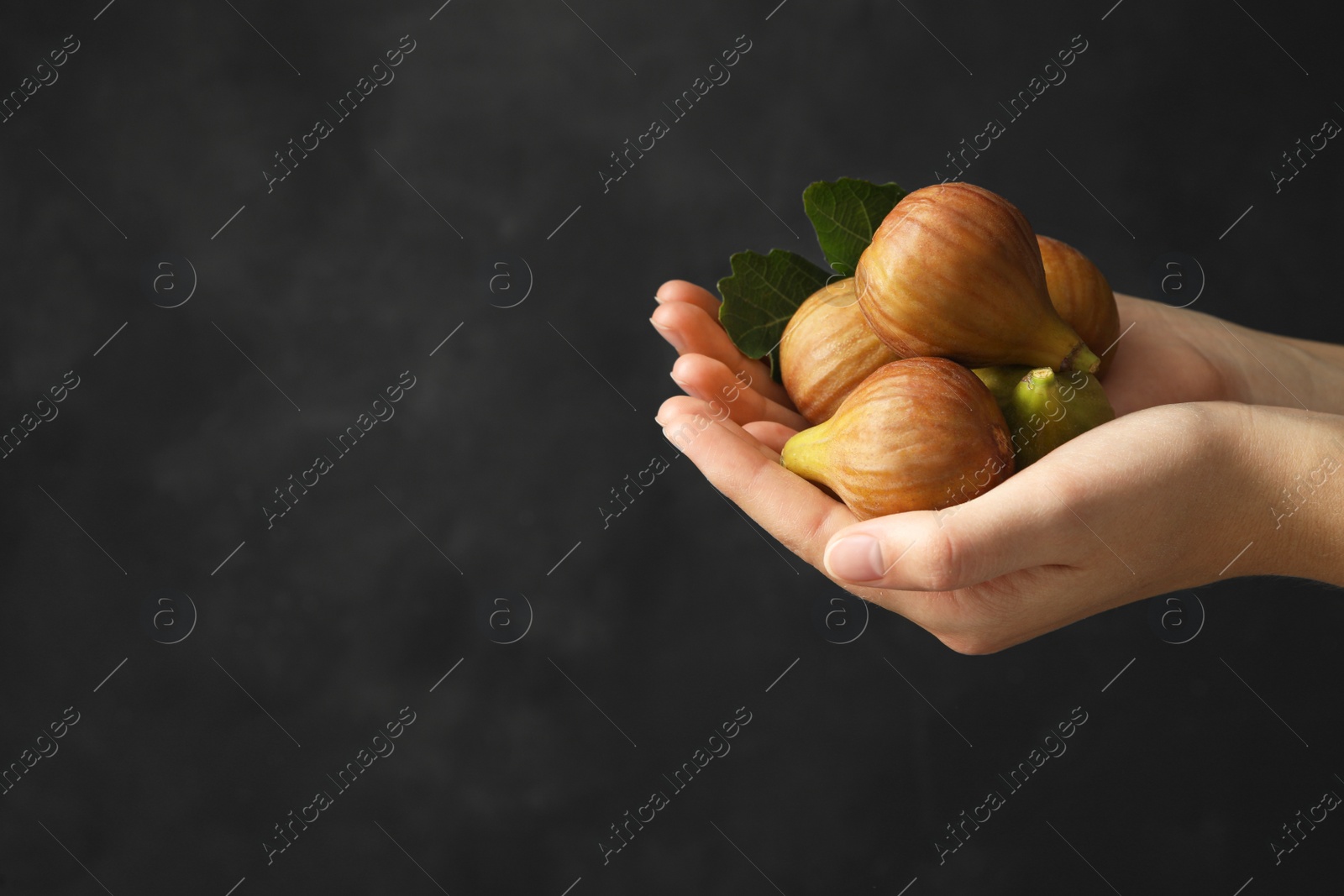 Photo of Woman holding tasty raw figs with leaf on grey background, closeup. Space for text