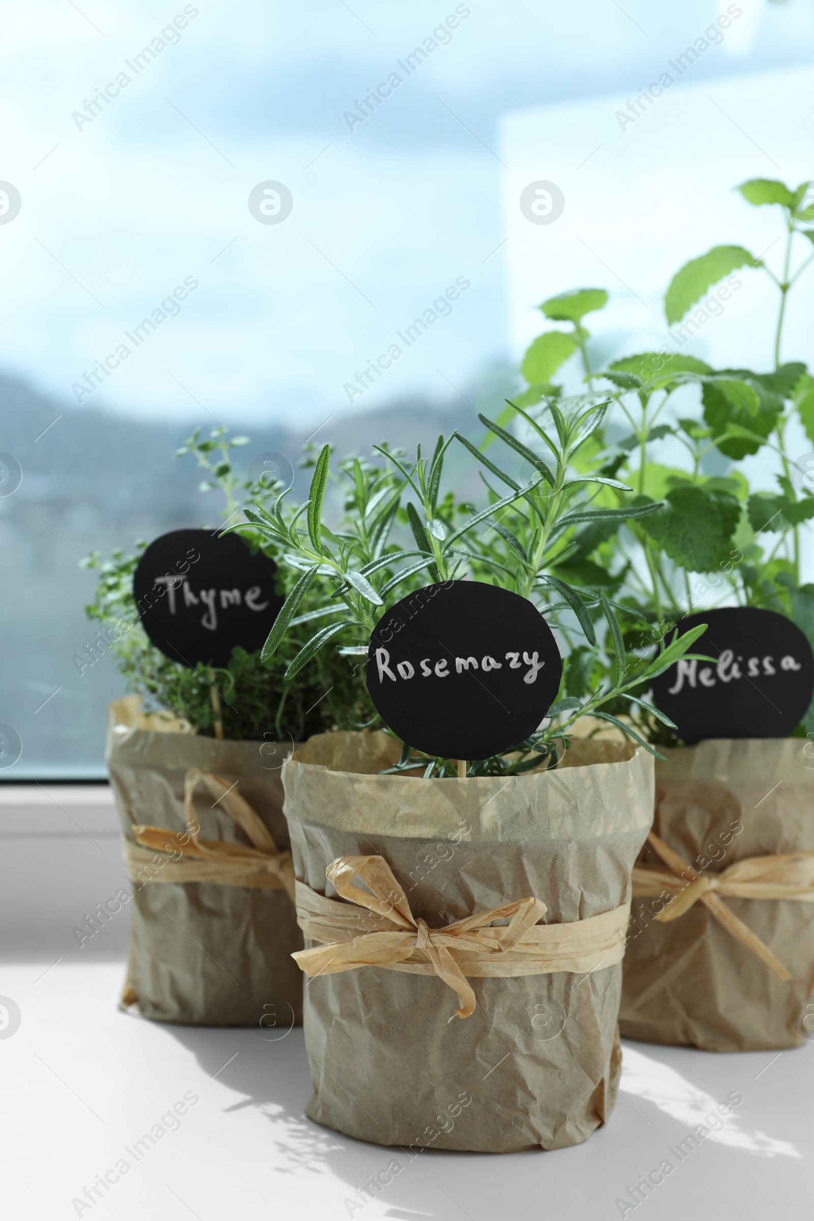 Photo of Different fresh potted herbs on windowsill indoors