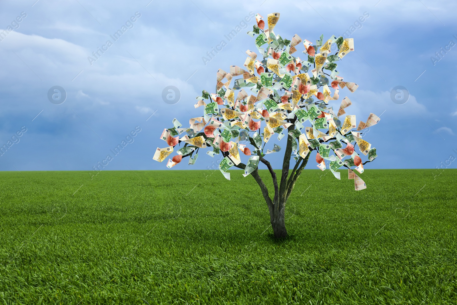 Image of Money tree on green lawn outdoors. Concept of financial growth and passive income