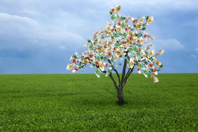 Image of Money tree on green lawn outdoors. Concept of financial growth and passive income