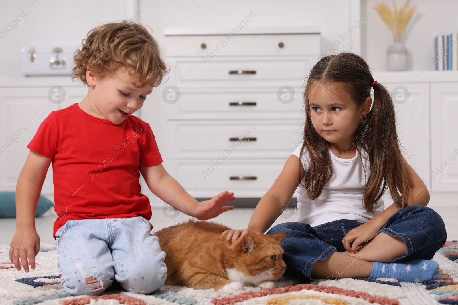 Photo of Little children petting cute ginger cat on carpet at home