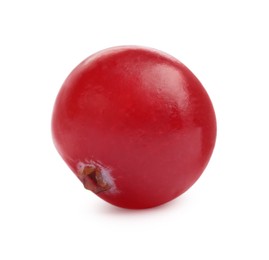 Photo of One fresh ripe cranberry isolated on white