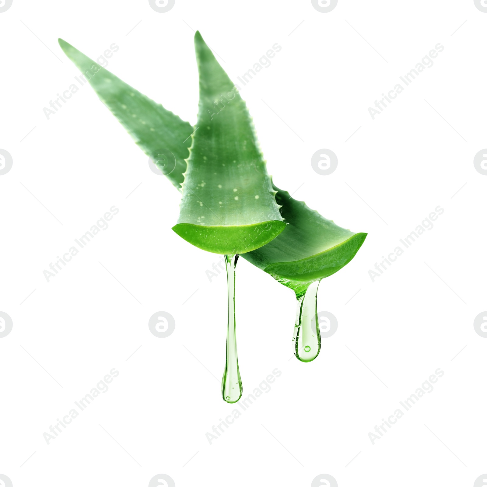 Image of Aloe vera leaves with juice in air on white background