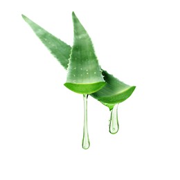 Aloe vera leaves with juice in air on white background
