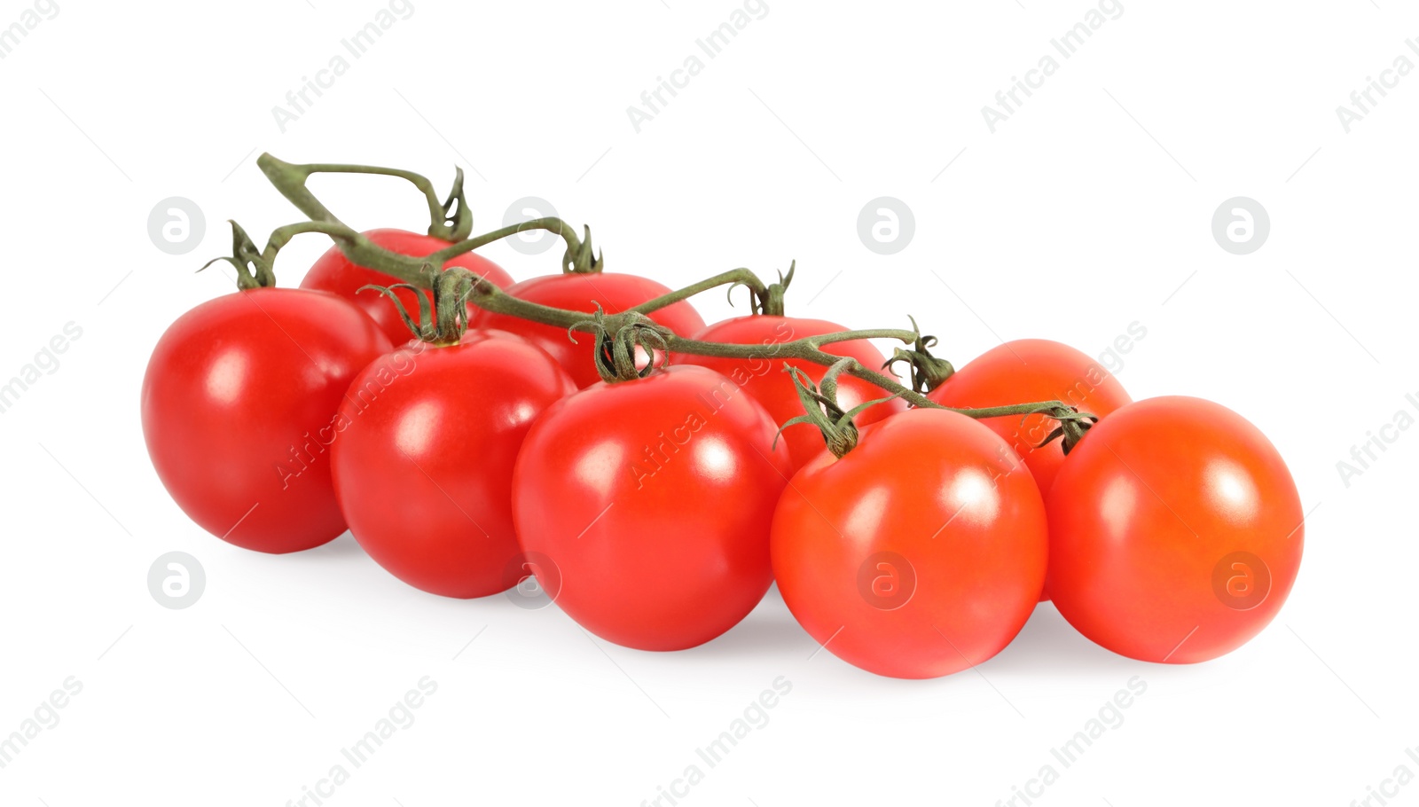 Photo of Branch with ripe cherry tomatoes isolated on white