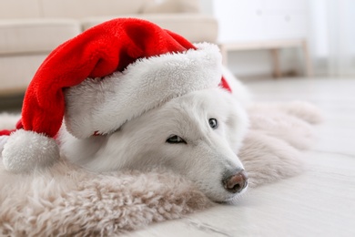 Photo of Cute dog with Christmas hat on floor at home