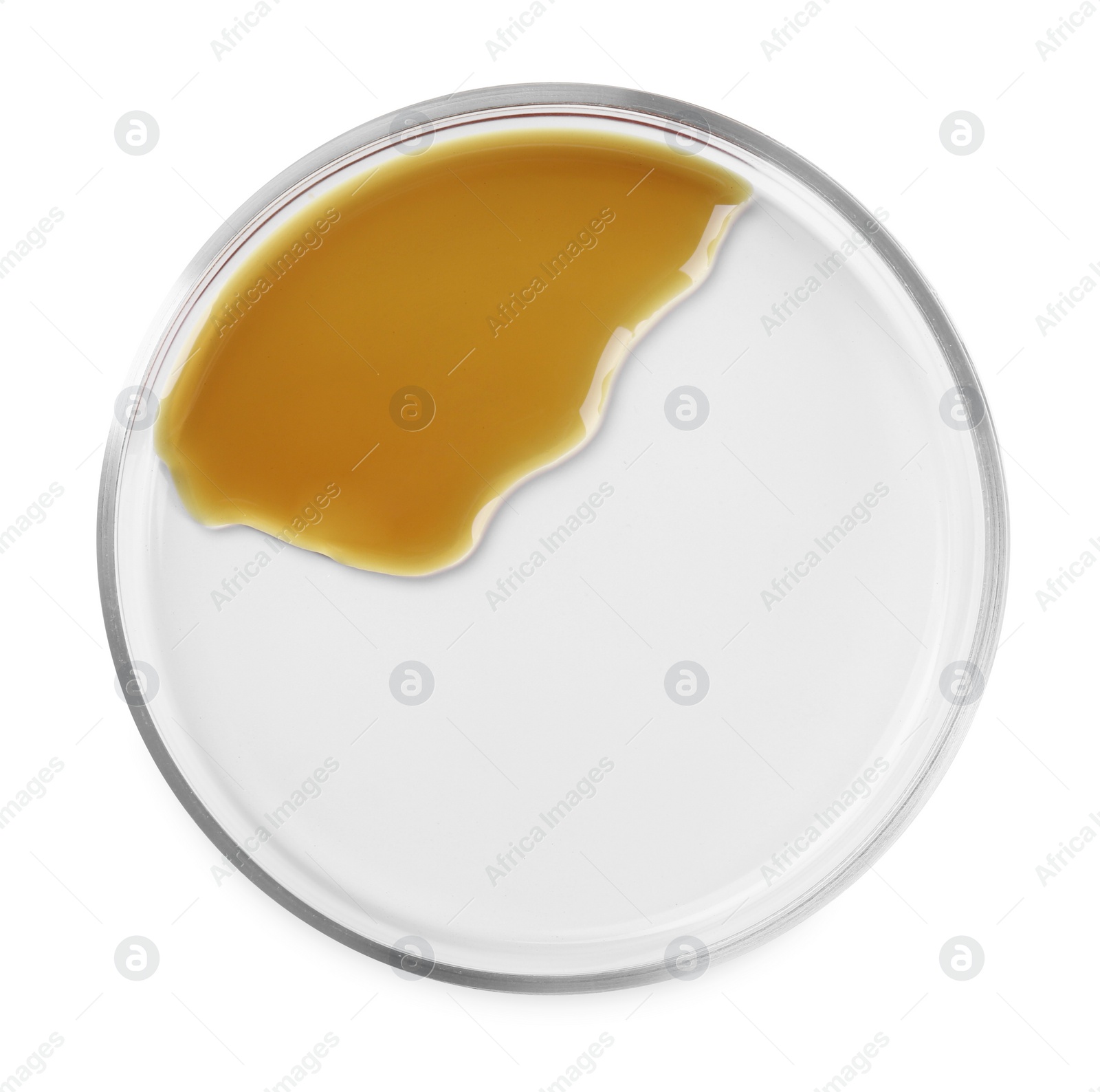 Photo of Petri dish with color liquid sample isolated on white, top view