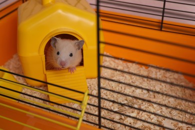 Photo of Cute little hamster inside decorative house in open cage