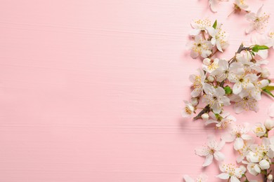 Beautiful spring flowers as border on pink wooden background, flat lay. Space for text