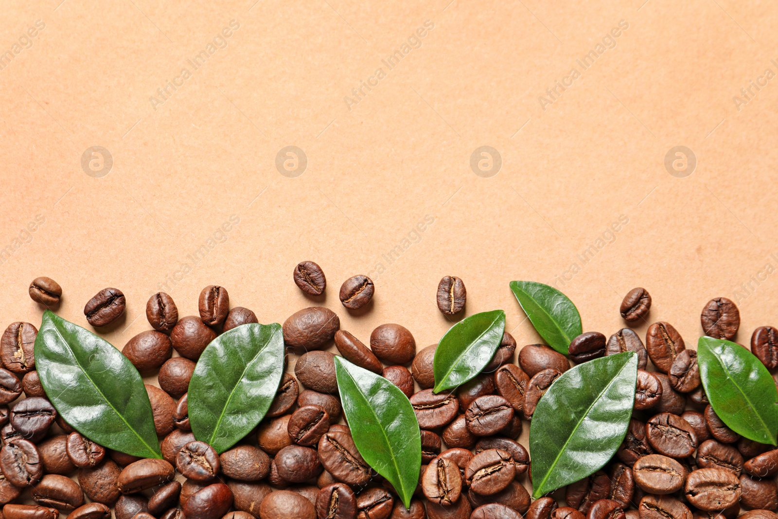 Photo of Fresh green coffee leaves and beans on light orange background, flat lay. Space for text