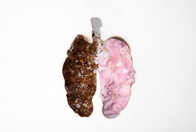 Photo of No smoking concept. Top view of flowers and dry tobacco through burned lungs shaped paper