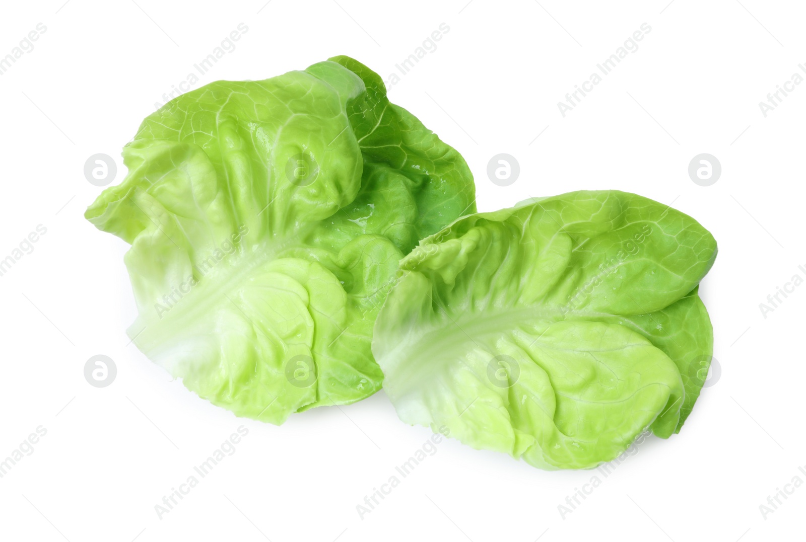 Photo of Fresh green butter lettuce leaves isolated on white, top view