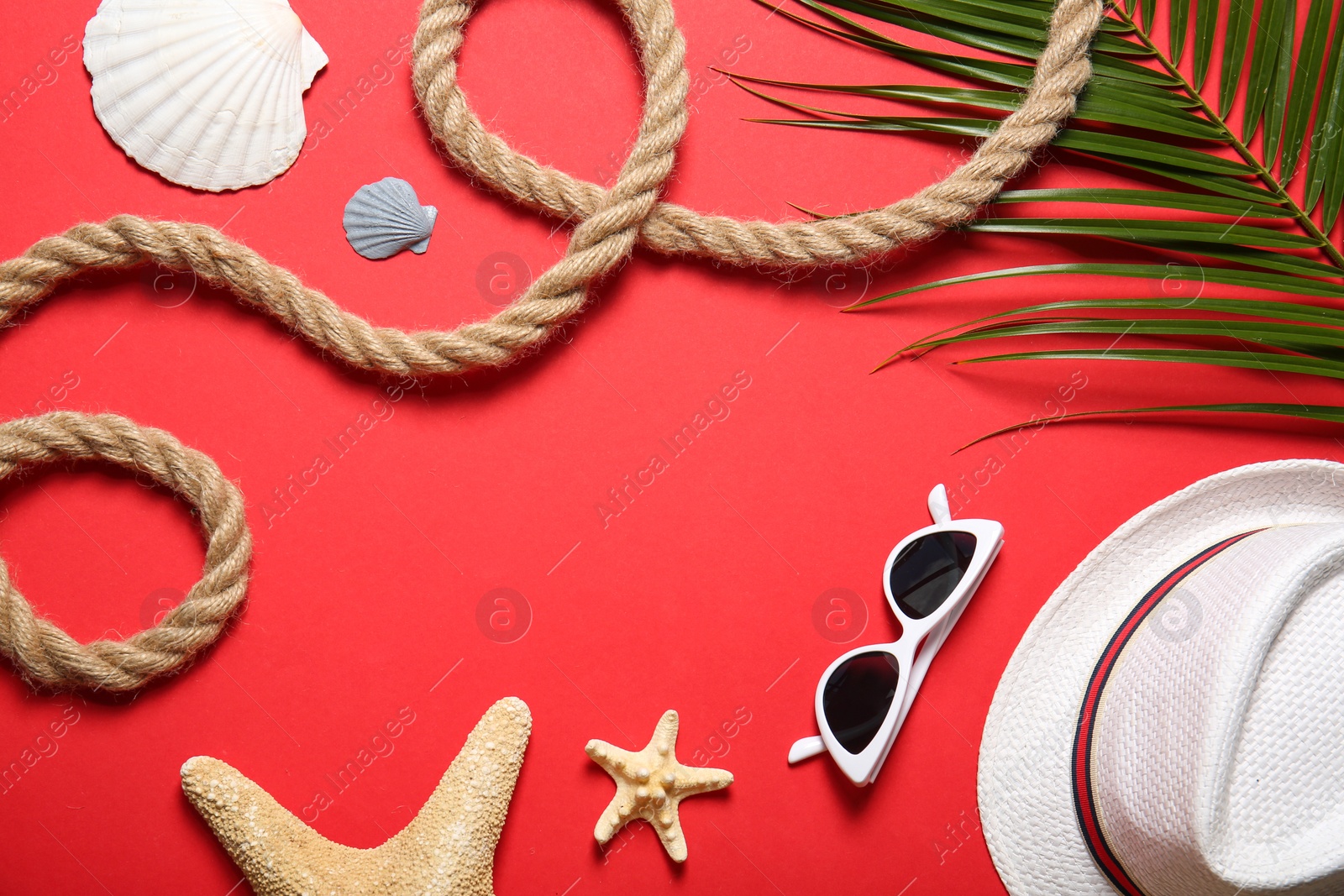 Photo of Flat lay composition with rope and beach objects on color background