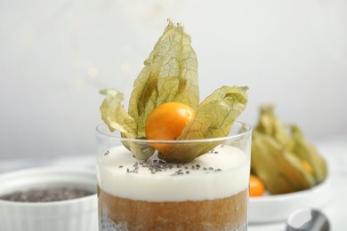 Delicious chia pudding decorated with physalis fruit on table, closeup