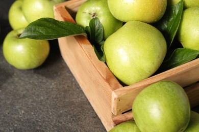 Photo of Ripe green apples with water drops in crate on grey table, closeup