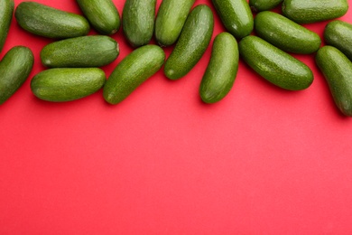 Photo of Whole seedless avocados on red background, flat lay. Space for text