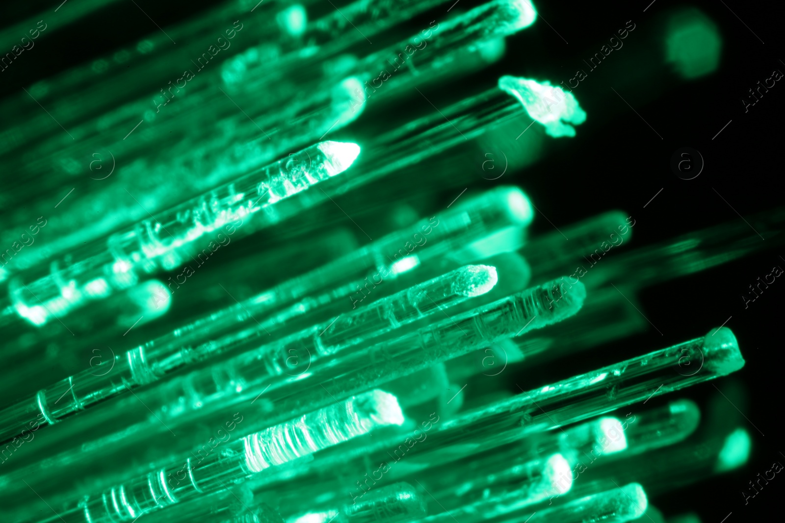 Photo of Optical fiber strands transmitting green light on black background, macro view