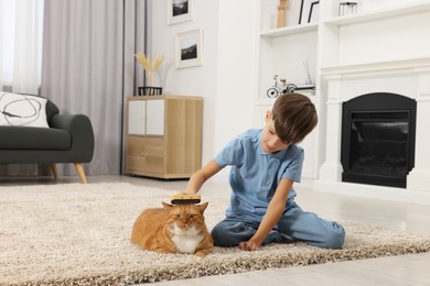Little boy brushing cute ginger cat's fur on soft carpet at home