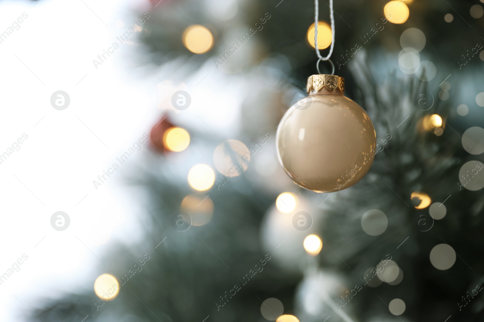 Photo of Beautiful holiday bauble hanging on Christmas tree, closeup. Space for text