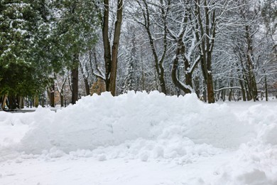 Photo of Heap of fluffy snow and trees in winter park