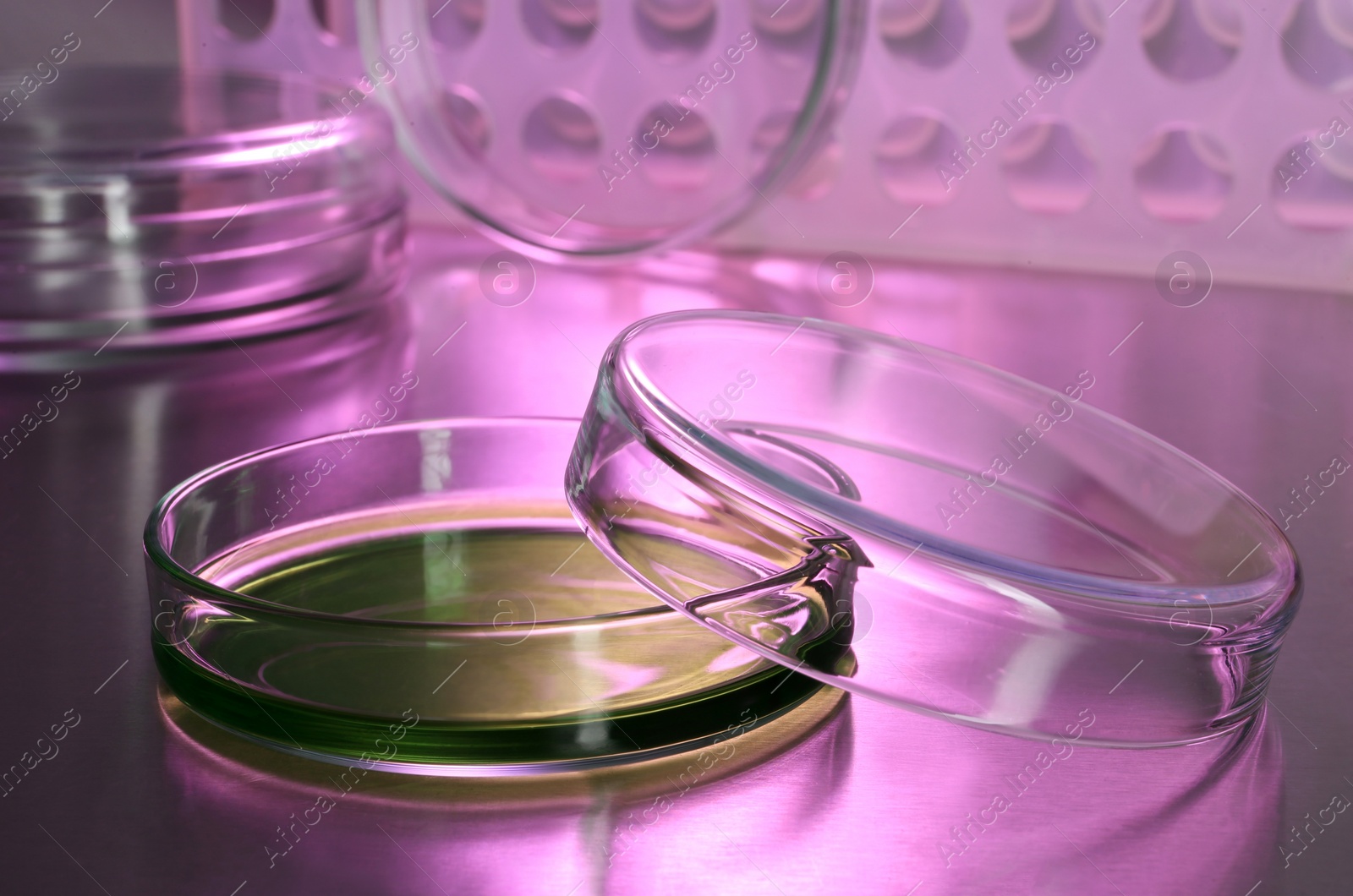 Photo of Petri dish with green liquid on table