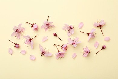 Photo of Beautiful spring tree blossoms and petals on yellow background, flat lay