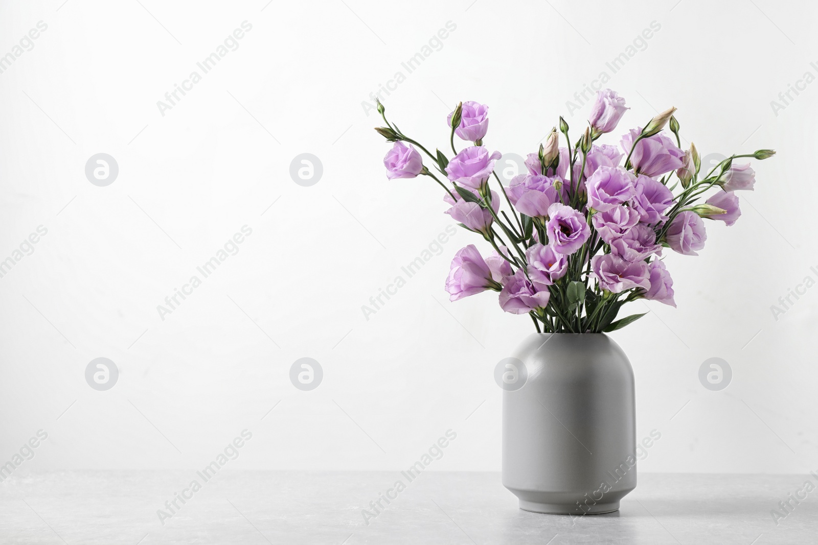 Photo of Eustoma flowers in vase on table near white wall, space for text