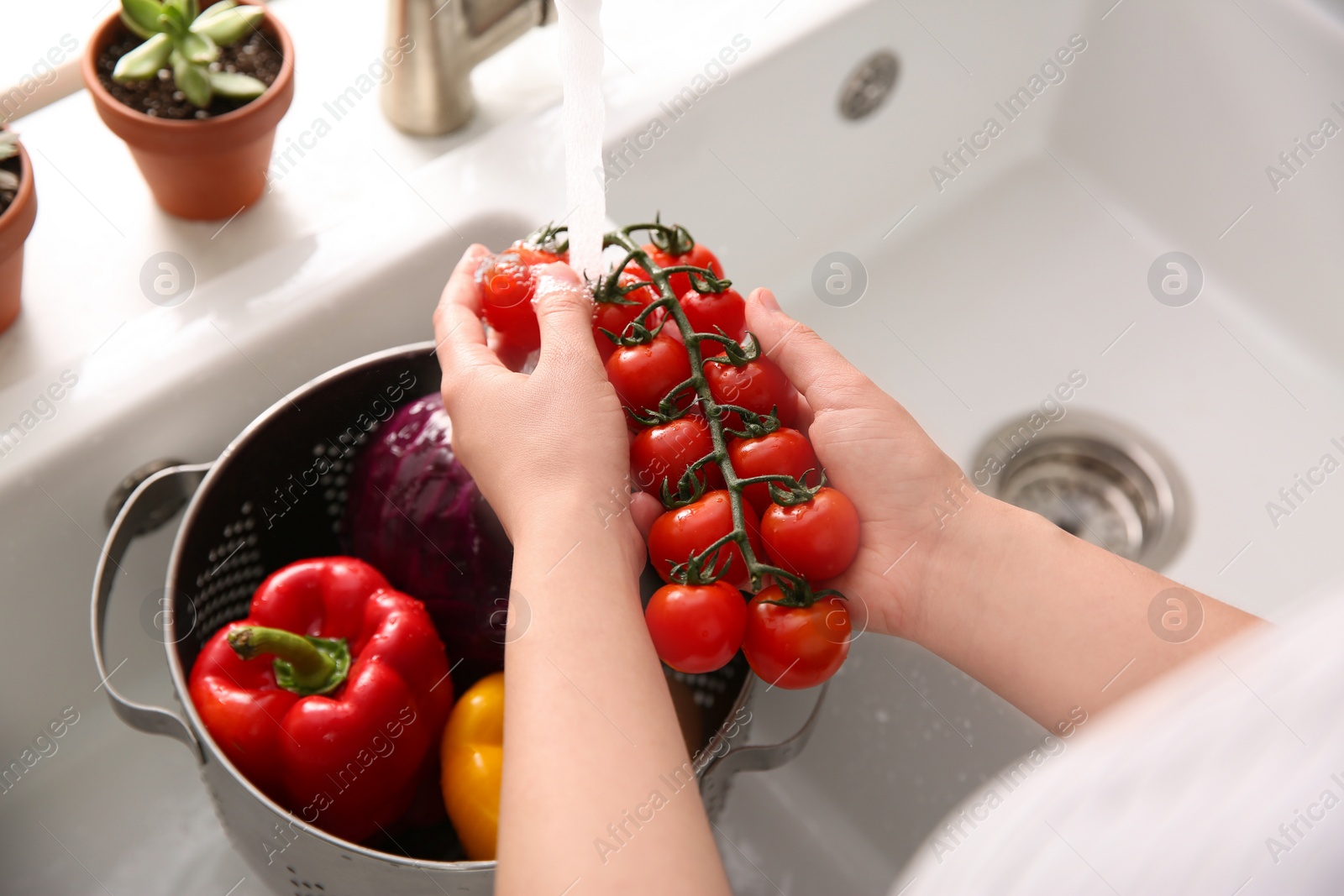 Photo of Woman washing fresh cherry tomatoes in kitchen sink, closeup