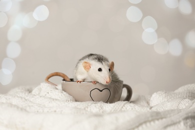 Photo of Cute little rat in cup on knitted blanket against blurred lights. Chinese New Year symbol
