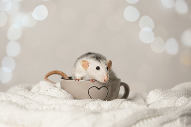 Cute little rat in cup on knitted blanket against blurred lights. Chinese New Year symbol