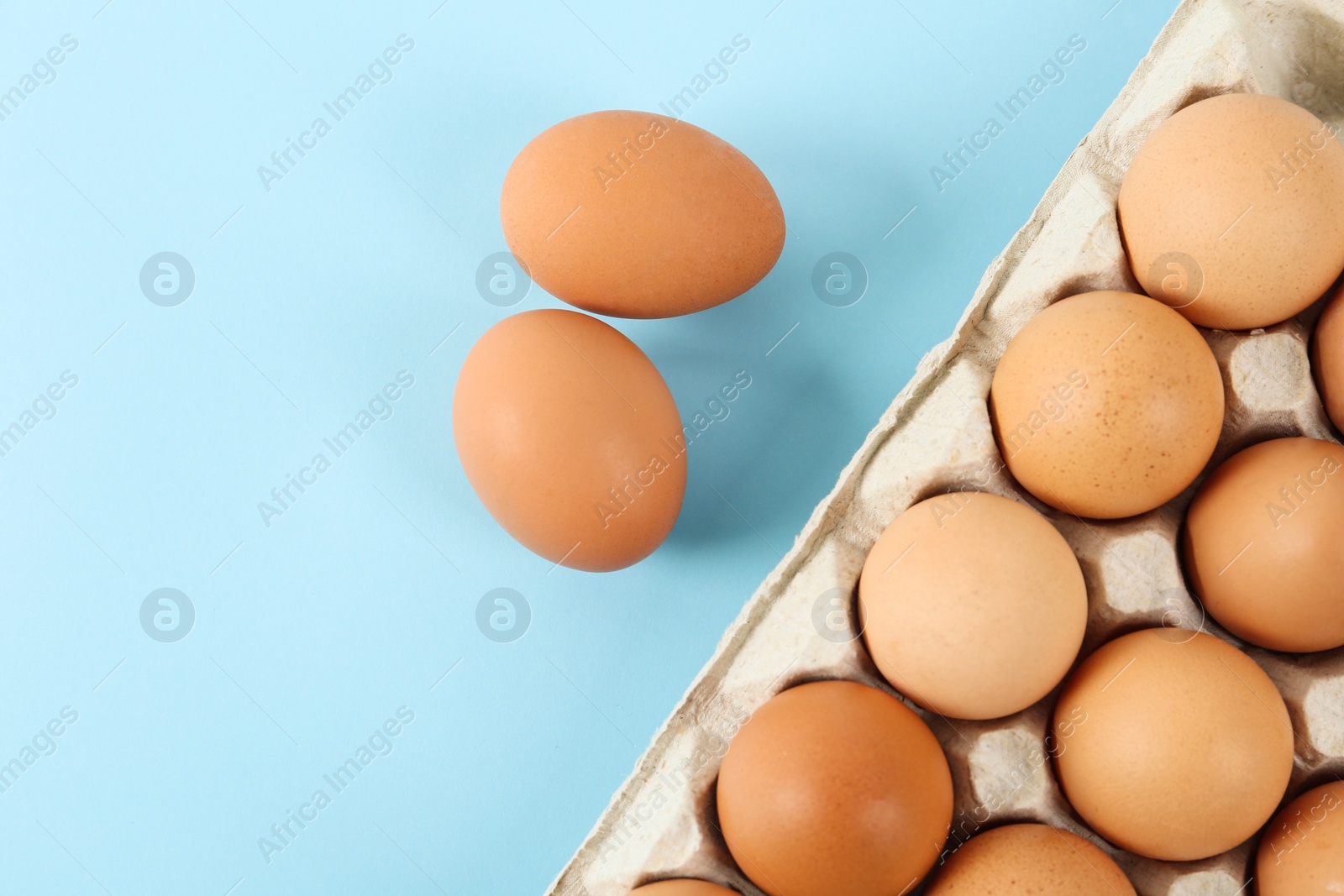 Photo of Raw chicken eggs on light blue background, flat lay