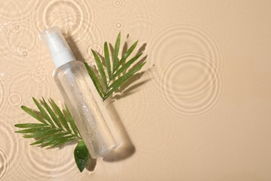 Photo of Wet bottlemicellar water and green twigs on beige background, flat lay. Space for text