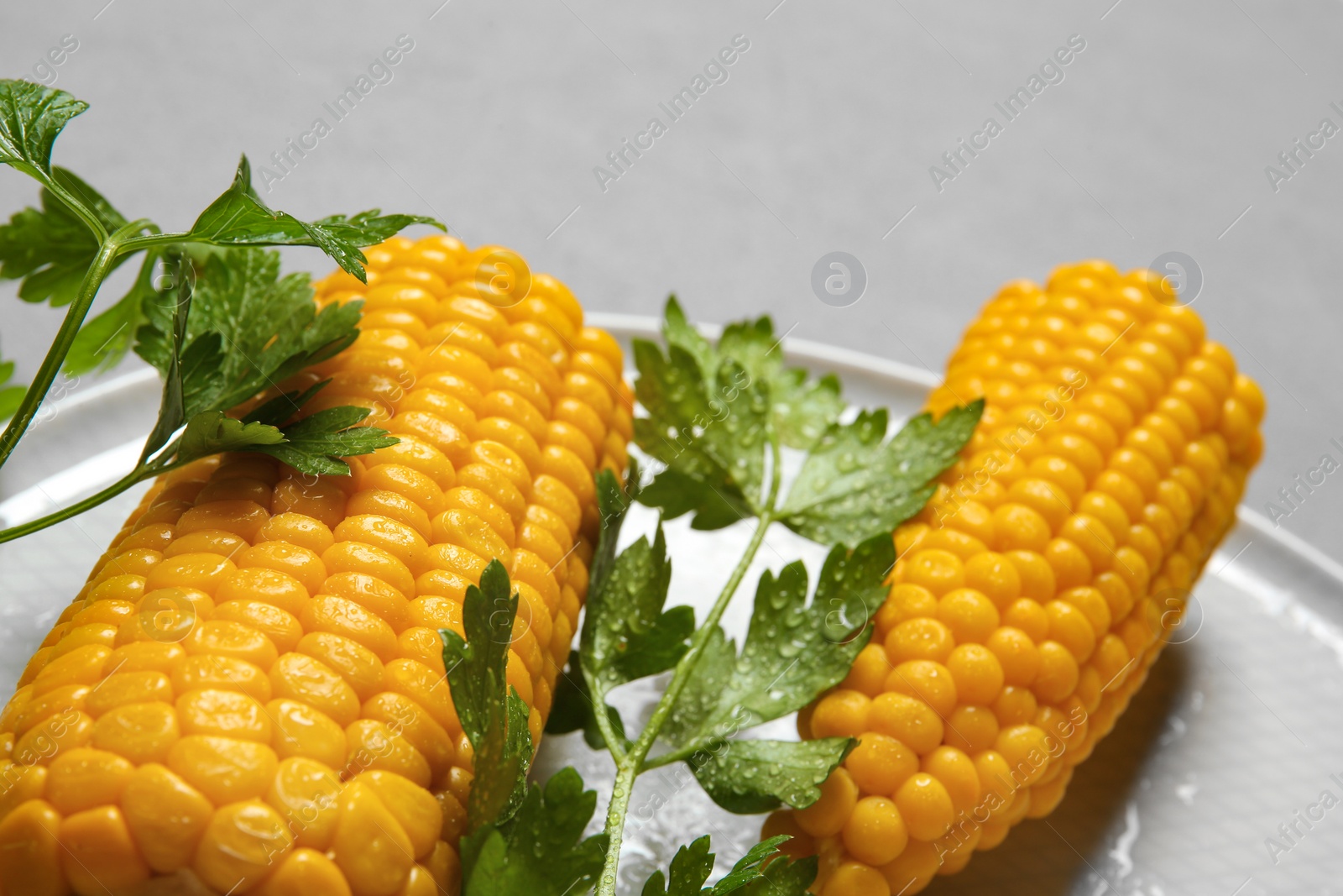 Photo of Plate with ripe corn cobs and parsley on grey background, closeup