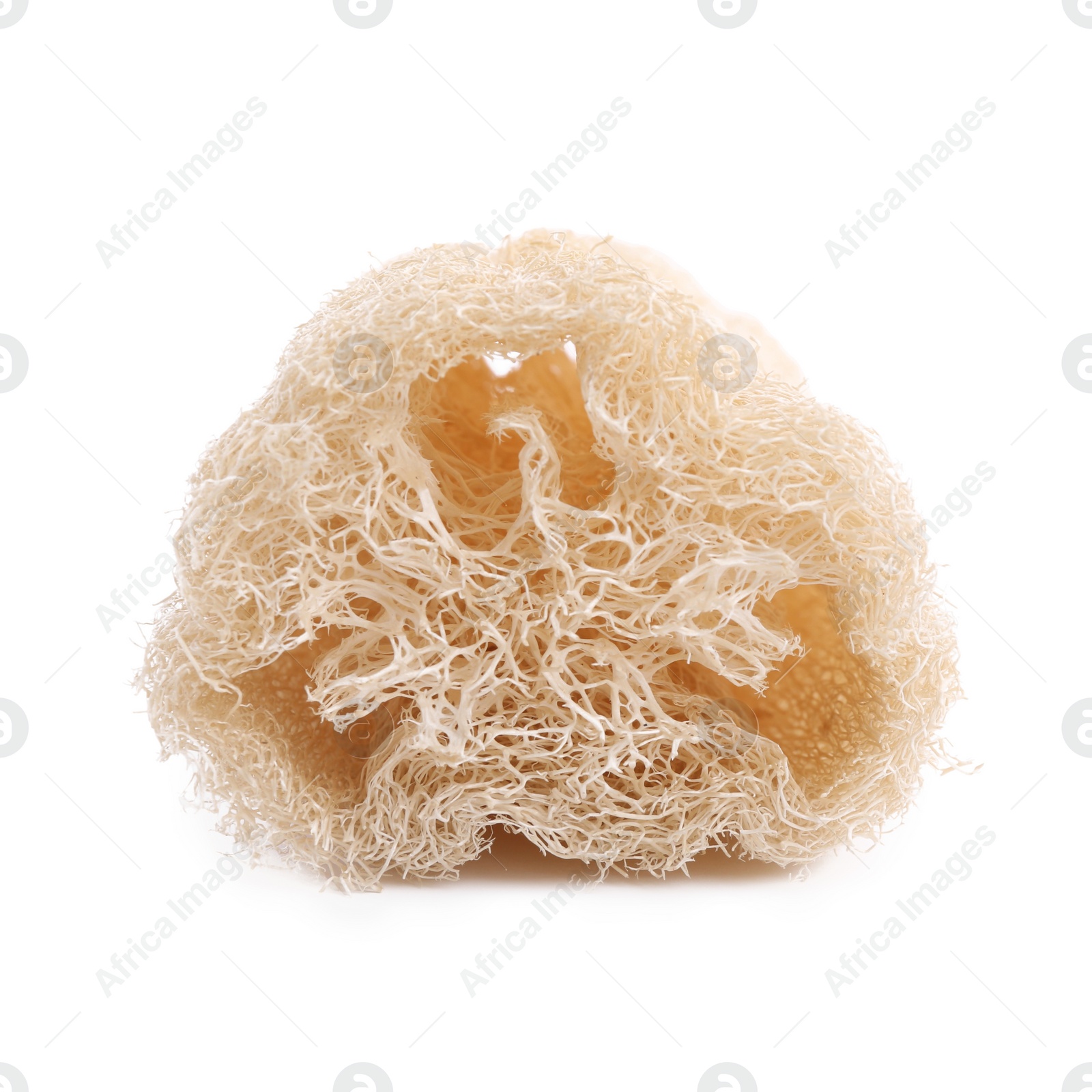 Photo of Loofah sponge isolated on white. Personal hygiene product