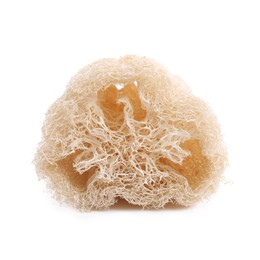 Photo of Loofah sponge isolated on white. Personal hygiene product