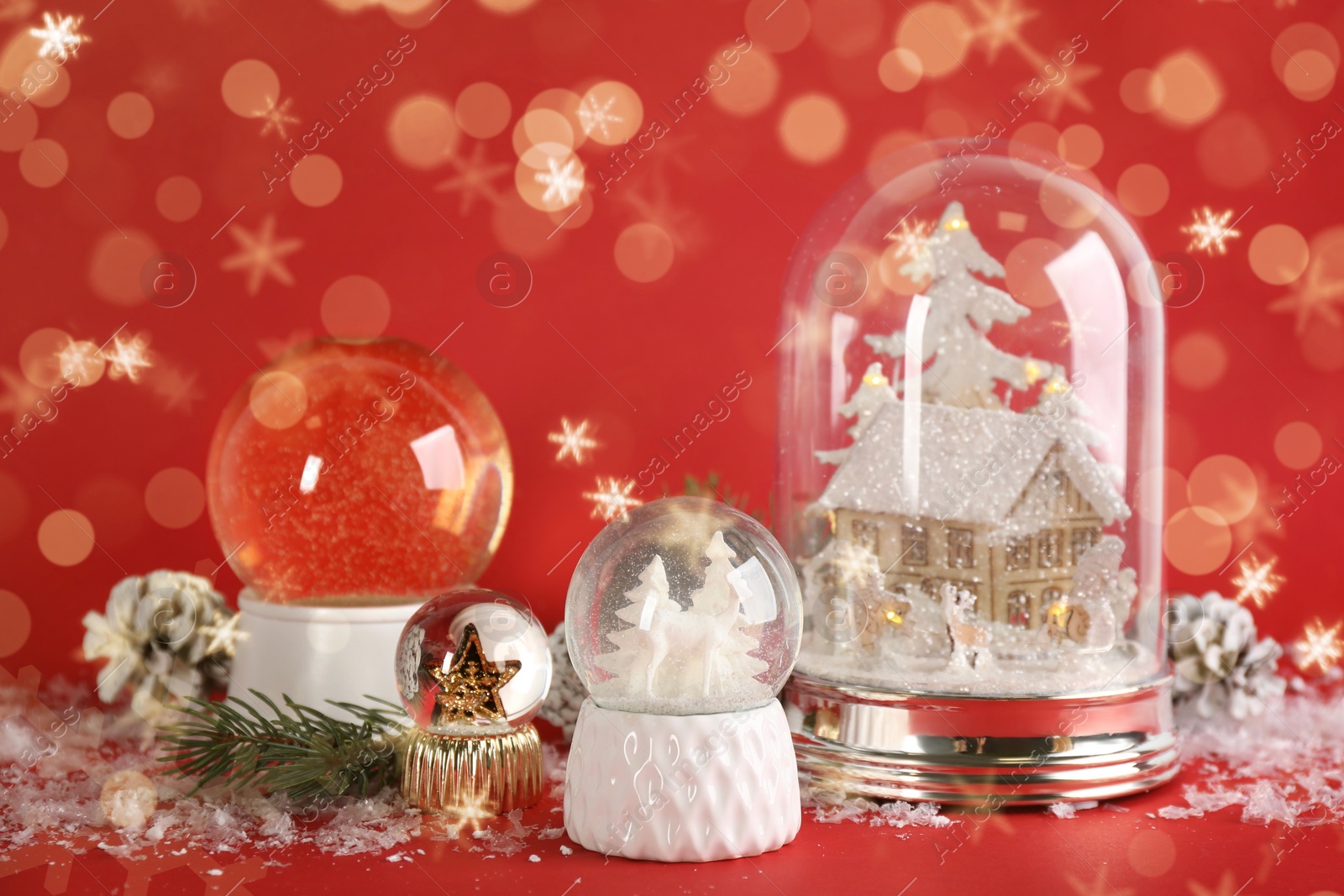 Image of Different beautiful snow globes and Christmas decor on red background. Bokeh effect