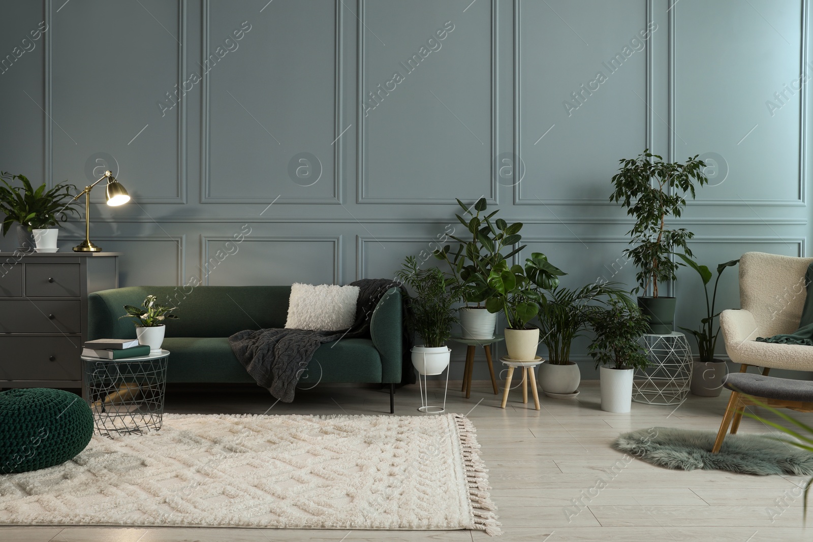 Photo of Many potted houseplants and stylish furniture near light blue wall in beautiful room