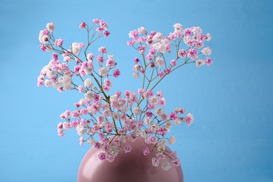 Photo of Beautiful dyed gypsophila flowers in pink vase against light blue background