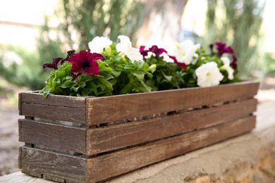 Photo of Beautiful colorful flowers in wooden plant pot outdoors