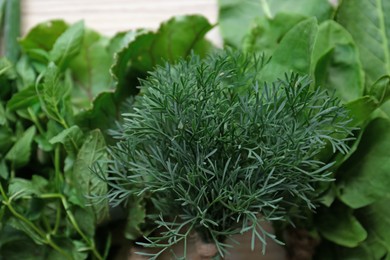 Different herbs on white table, closeup view