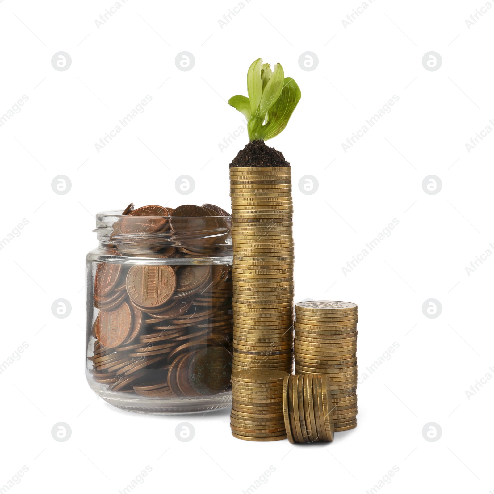 Photo of Jar, coins and green plant on white background. Investment concept