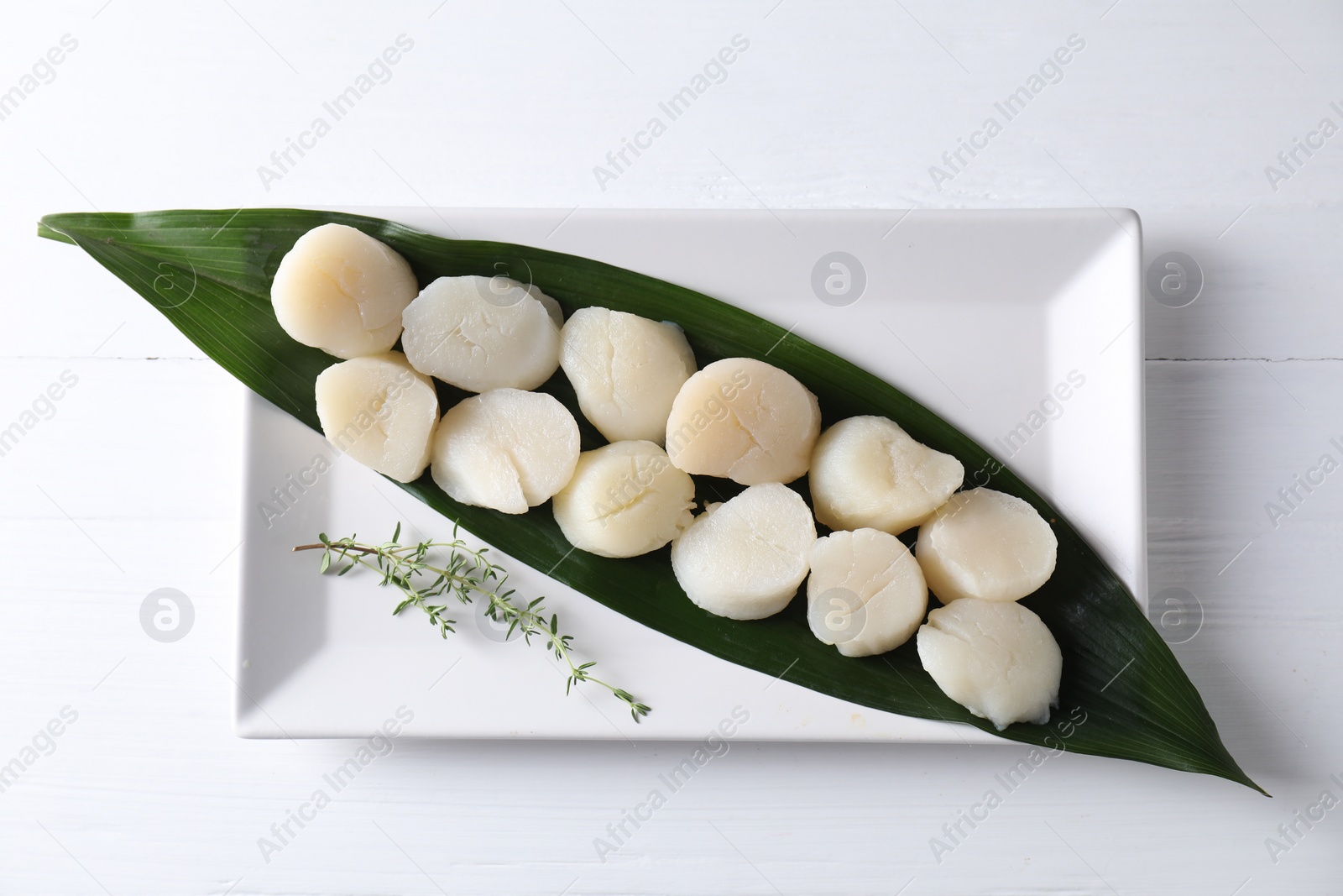 Photo of Fresh raw scallops and thyme on white wooden , top view