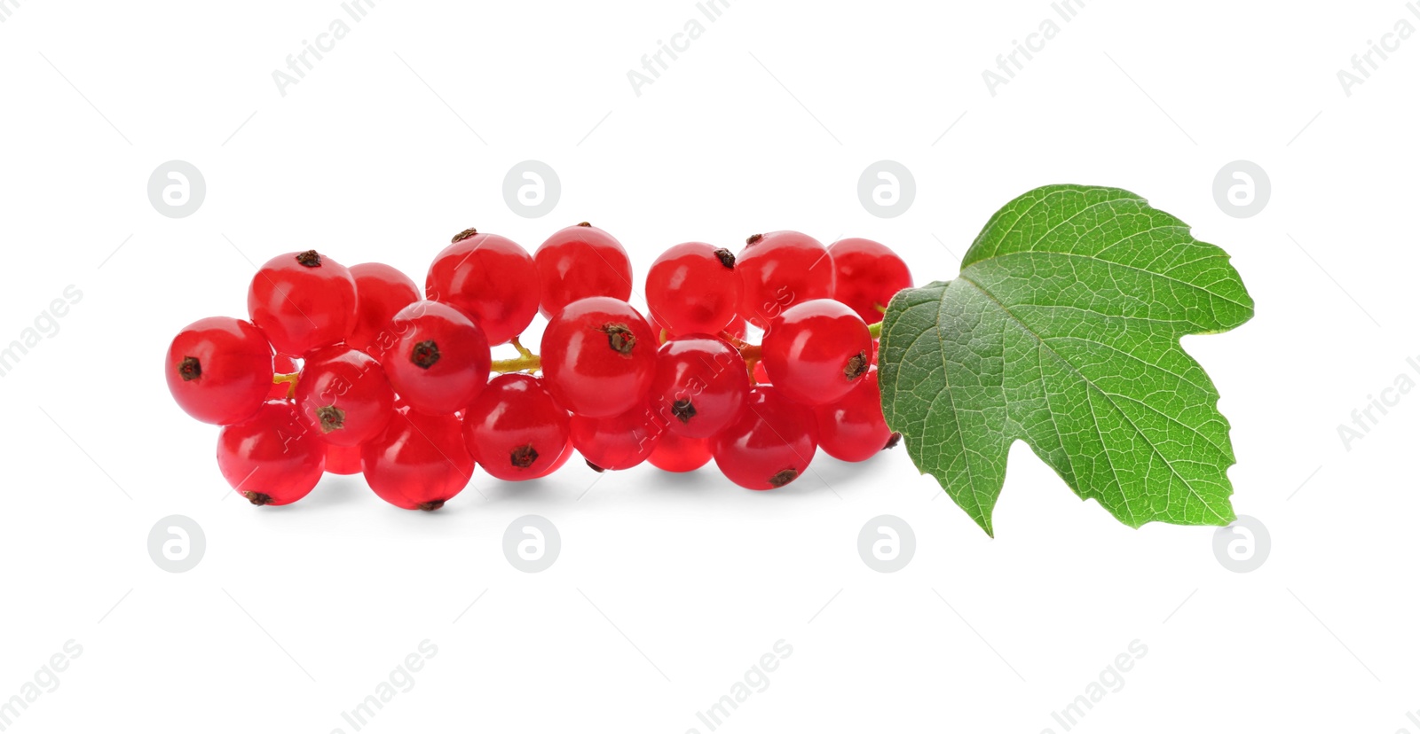 Photo of Delicious ripe red currants isolated on white