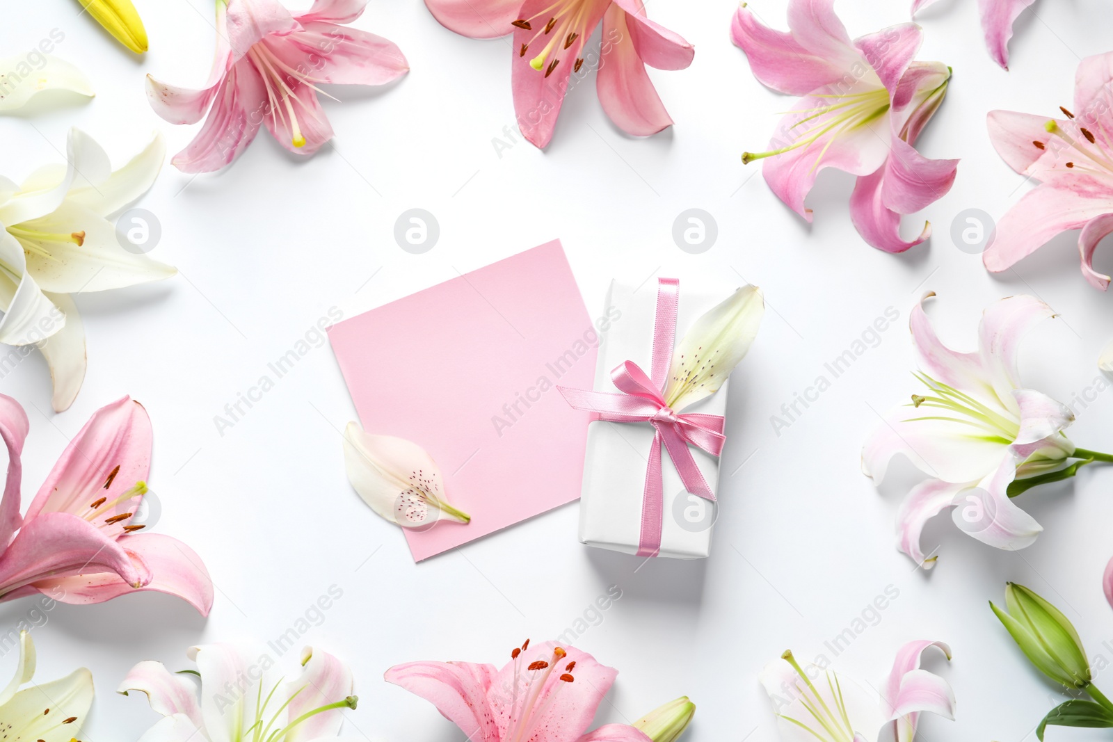 Photo of Flat lay composition with beautiful blooming lily flowers on white background