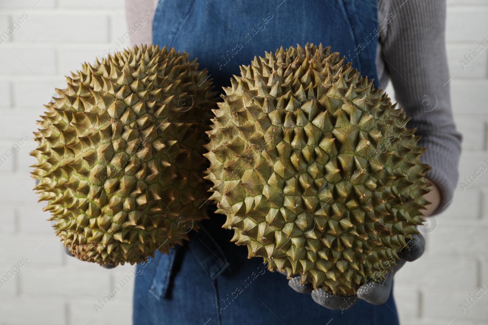 Photo of Woman holding fresh ripe durians near white brick wall, closeup