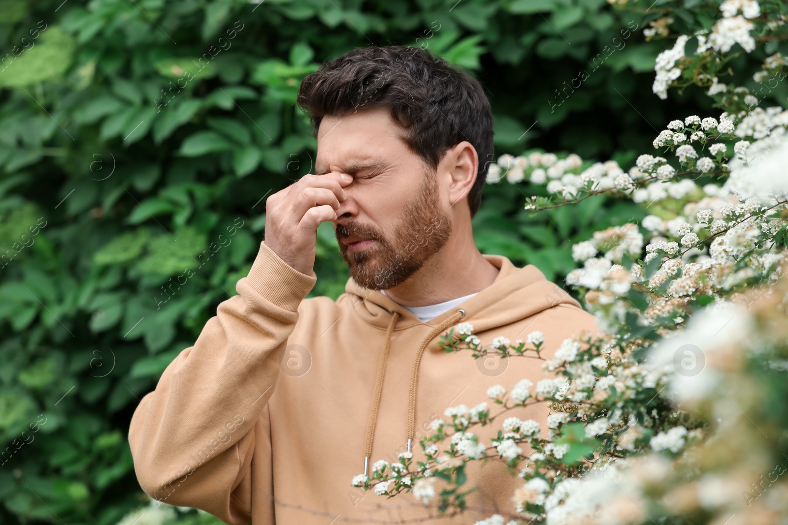 Photo of Man suffering from seasonal pollen allergy near blossoming tree on spring day