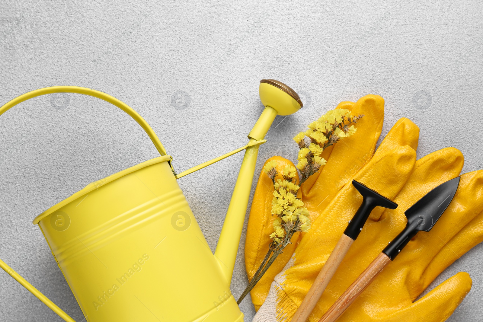 Photo of Watering can, gardening tools and beautiful flower on light grey background, flat lay