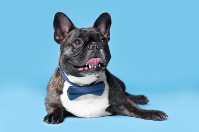 Photo of Adorable French Bulldog with bow tie on light blue background