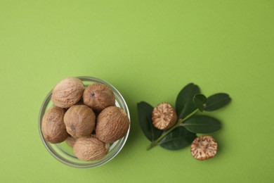 Photo of Nutmegs in bowl and branch on light green background, flat lay. Space for text