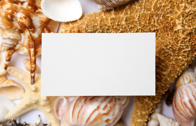 Photo of Different beautiful sea shells and blank card, flat lay. Space for text